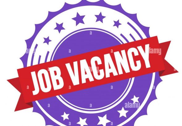 Job Vacancy, Opening & Opportunities