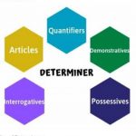 DETERMINERS IN ENGLISH LANGUAGE