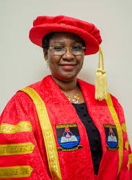 Professor Ibiyemi Olatunji-Bello